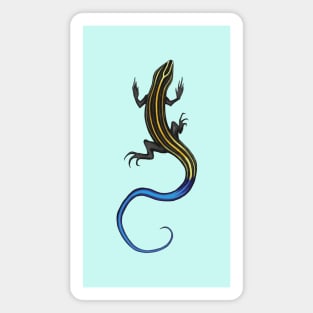 Blue-Tailed Skink Magnet